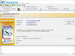 spotauditor下載 spotauditor 密碼恢復軟件 5.2.4 免費版 河東下載站